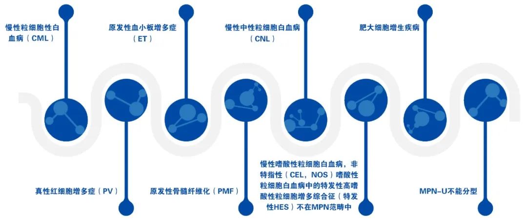 专家讲座 | 真性红细胞增多症（PV）的概述及最新进展（上）