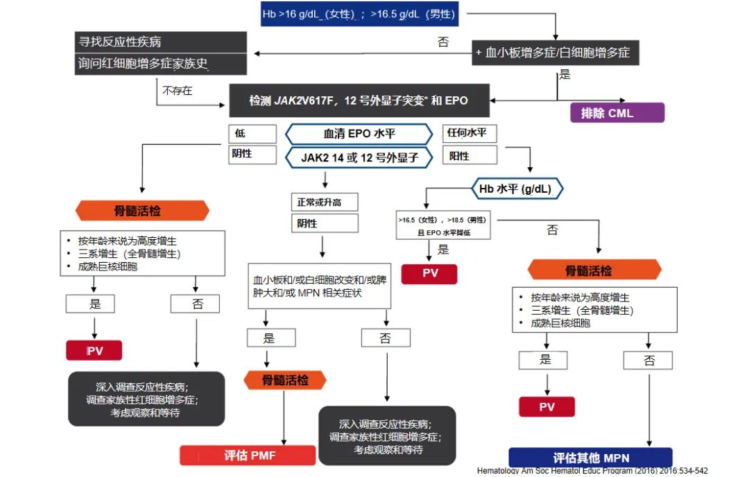 专家讲座 | 真性红细胞增多症（PV）的概述及最新进展（上）