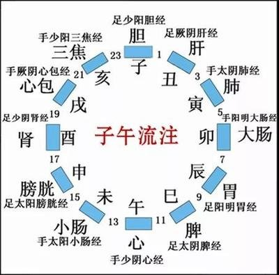 科普时间｜遇到贫血就吃睡？中医怎么说？
