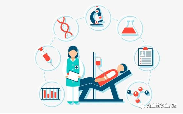 认识疾病 | 喂!蚕豆病,可不是蚕豆生病,是遗传病 认识疾病 | 喂!蚕豆病,可不是蚕豆生病,是遗传病