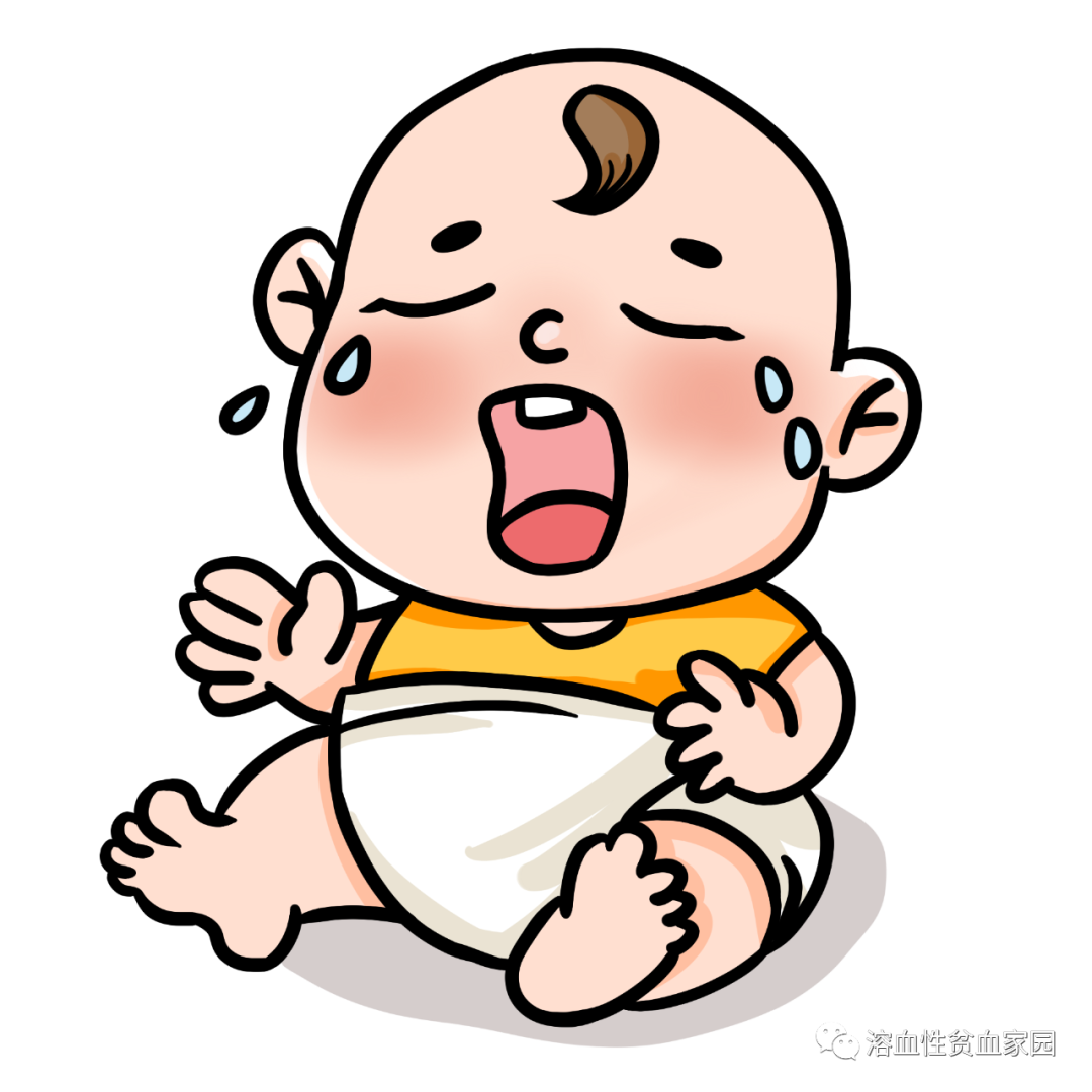 认识疾病｜溶血性贫血之遗传性球形红细胞增多症（HS）