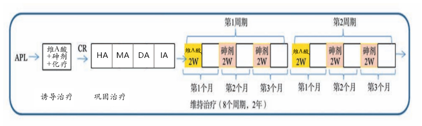 认识急性早幼粒细胞白血病 认识急性早幼粒细胞白血病