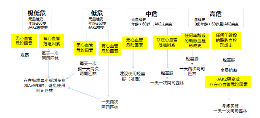 专家讲座 | 张磊教授带您了解原发性血小板增多症的诊断与治疗（下）