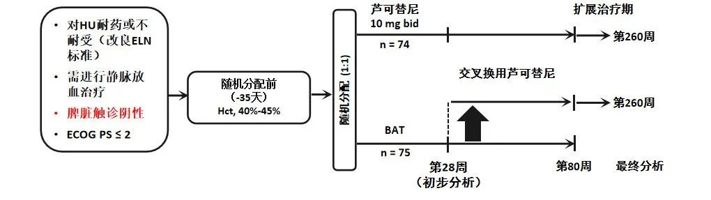 专家讲座 | 真性红细胞增多症(PV)的概述及最新进展(下) 专家讲座 | 真性红细胞增多症(PV)的概述及最新进展(下)