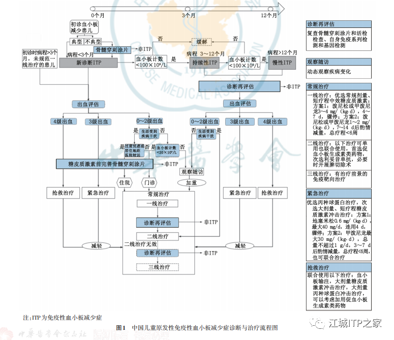 指南共识 | 中国儿童ITP诊断与治疗改编指南（2021版）
