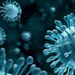 过敏性紫癜如何诊断和治疗?