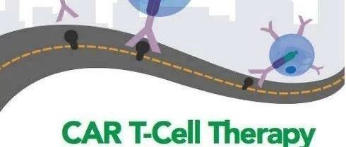 CART疗法是不是移植?