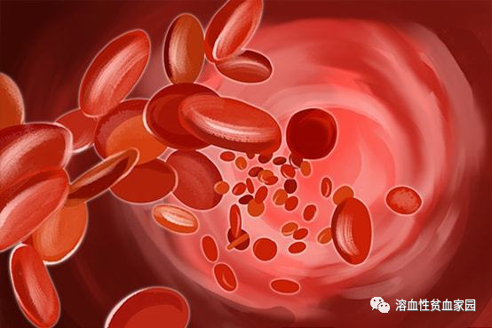 科普时间 | 药物竟然也会引起溶血 科普时间 | 药物竟然也会引起溶血