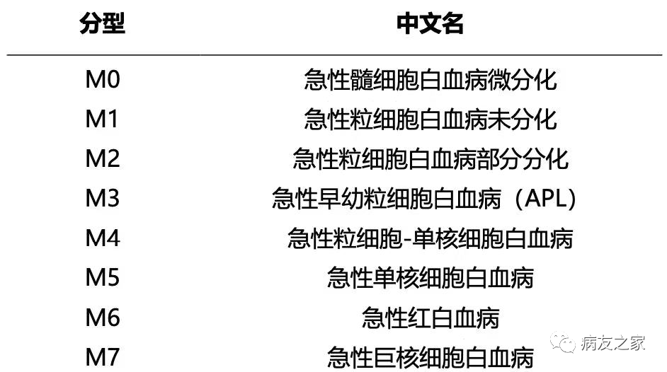认识疾病 | 一文了解急性髓系白血病(AML)