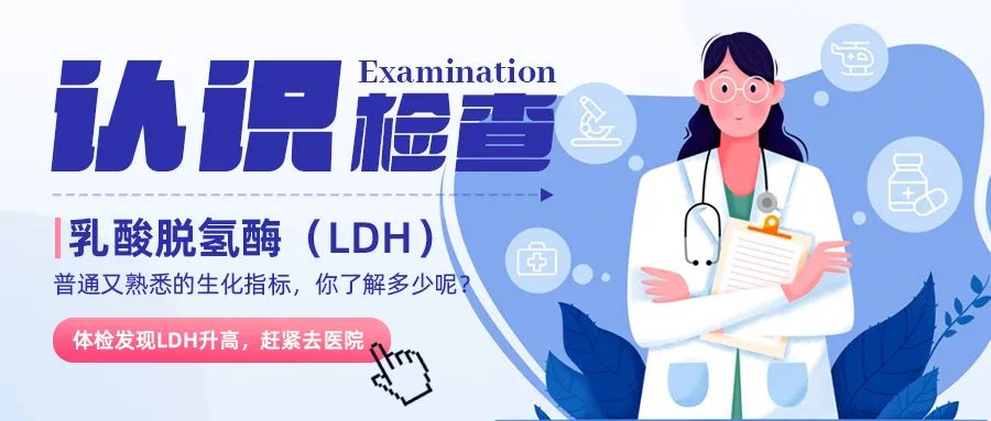 认识检查 | 乳酸脱氢酶(LDH)——普通又熟悉的生化指标,你了解多少呢?