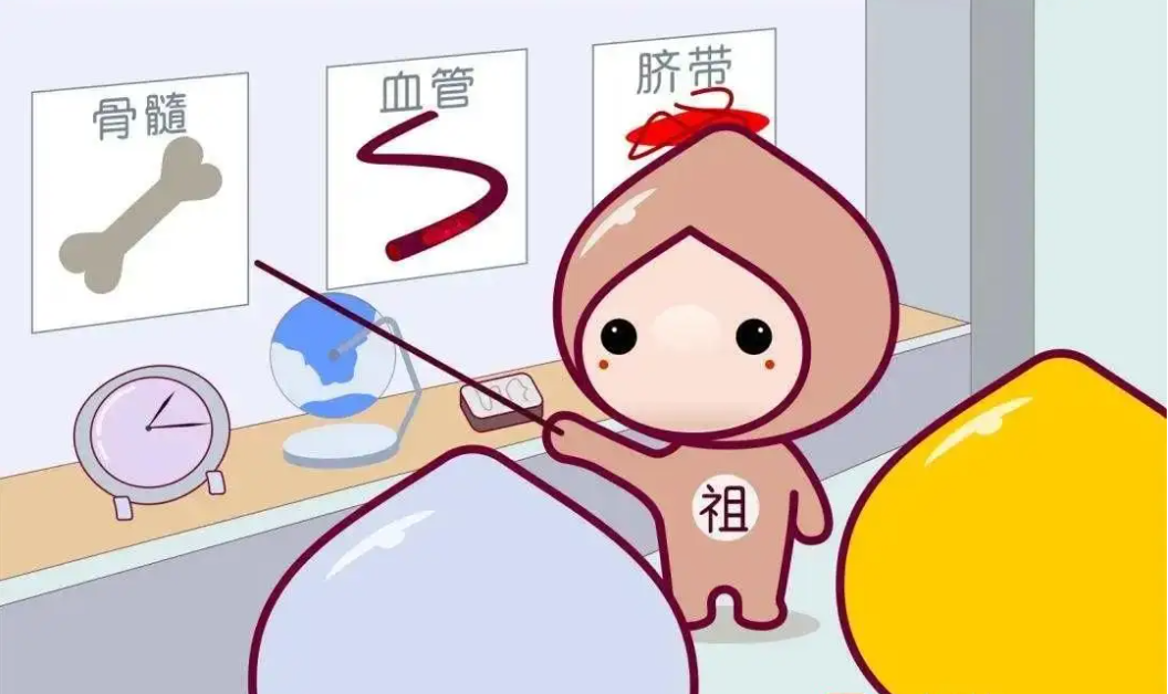 大咖零距离 | 骨髓增殖性肿瘤(MPN)与造血干细胞移植,你必须了解的