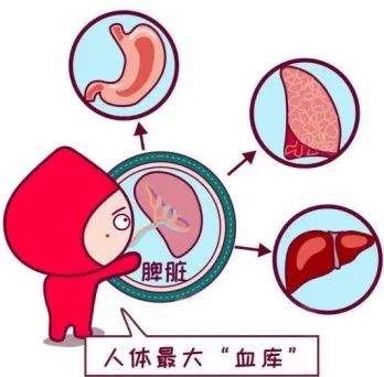 科普时间 | “脾”事儿再多,也怕“诊法”