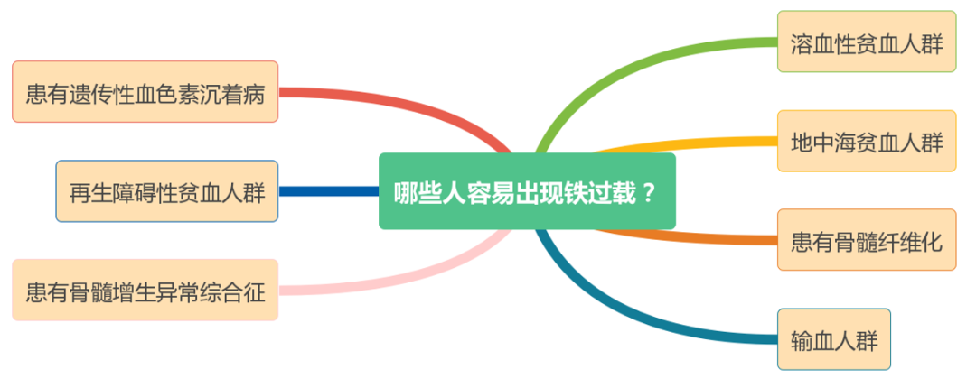 科普时间|铁过载应该怎么吃?日常饮食需要注意些什么?