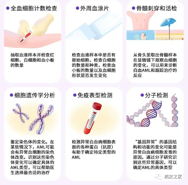 认识疾病 | 一文了解急性髓系白血病(AML)