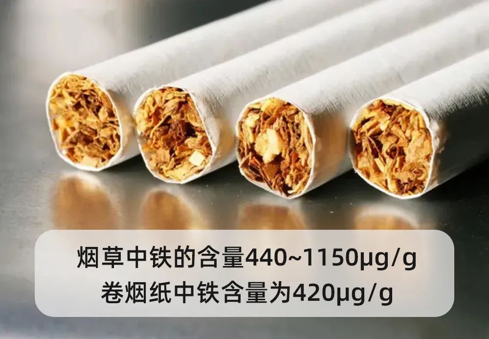 科普时间|铁过载应该怎么吃?日常饮食需要注意些什么?