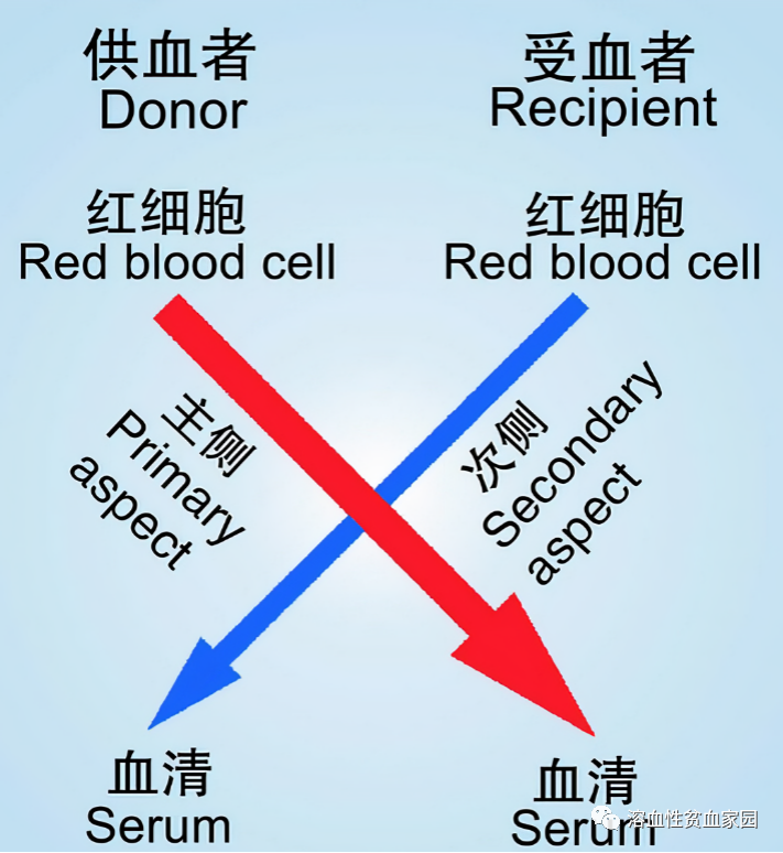 认识检查 | 交叉配血试验,输血前的守门员