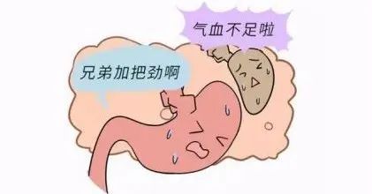 科普时间 | “脾”事儿再多,也怕“诊法”