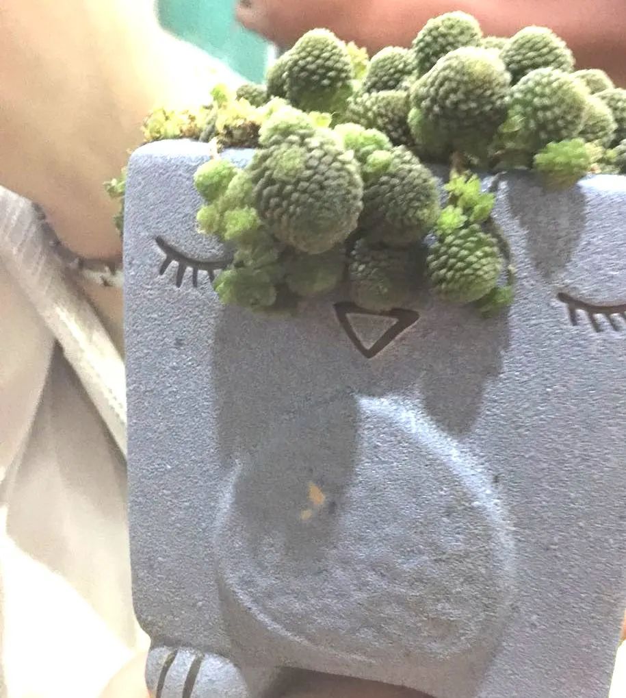 志愿者随笔:温度人生 深清满怀