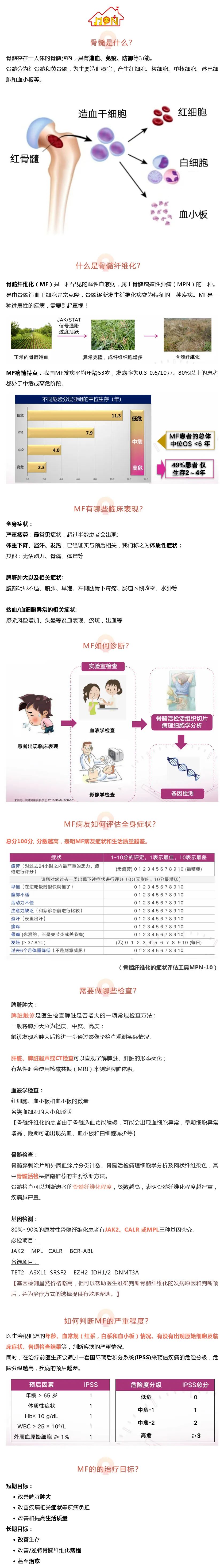科普时间 | 骨髓纤维化,读完这篇全懂了!