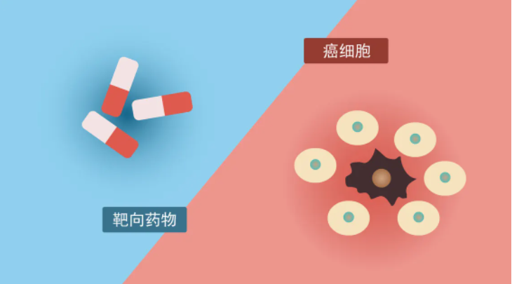 国际慢粒日 | 从“不治之症”到可治“慢病”