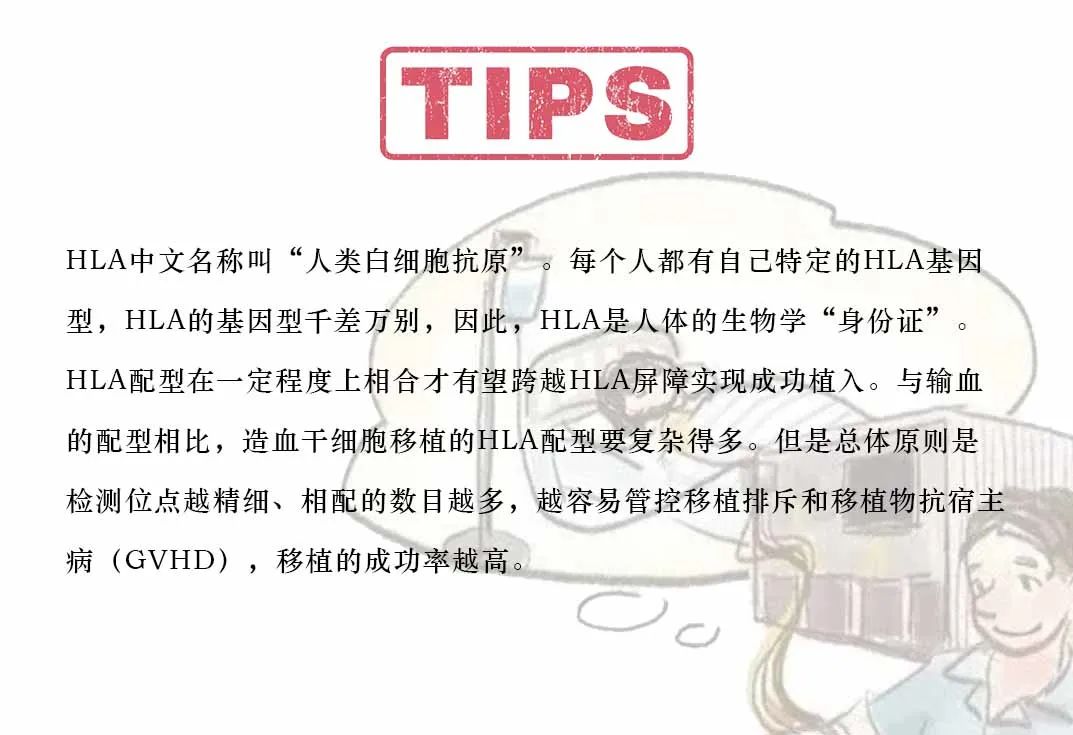 大咖零距离 | 骨髓增殖性肿瘤(MPN)与造血干细胞移植,你必须了解的