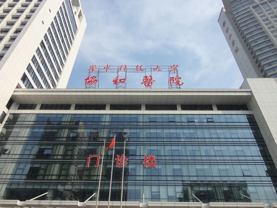 病友故事 | 父亲患骨髓纤维化求治无果,绝望认命中再遇生机