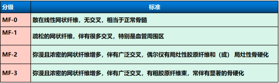 科普时间 | 这样看骨穿报告,医生懂得您也懂