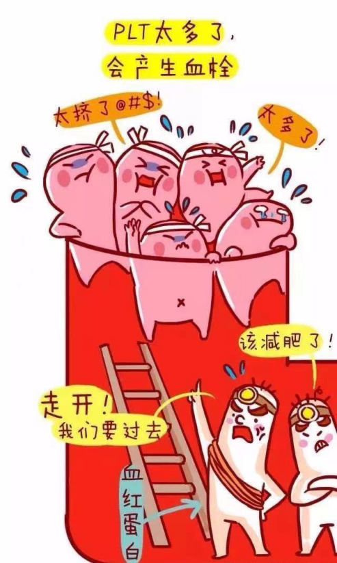 科普时间 | 原发性血小板增多症(ET)为什么既“出血”又“血栓”?