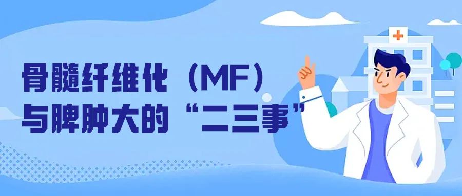 Q&A|骨髓纤维化(MF)与脾肿大的“二三事”