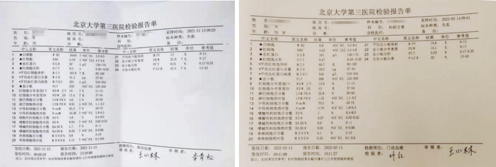 从白血病到骨髓纤维化,峰回路转,终迎生命曙光