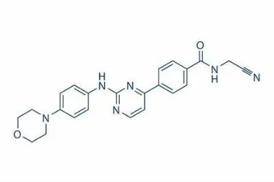 Momelotinib试验旨在研究治疗骨髓纤维化的药物