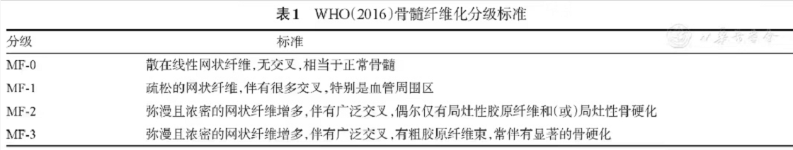 原发性骨髓纤维化诊断与治疗中国指南(2019全文版)