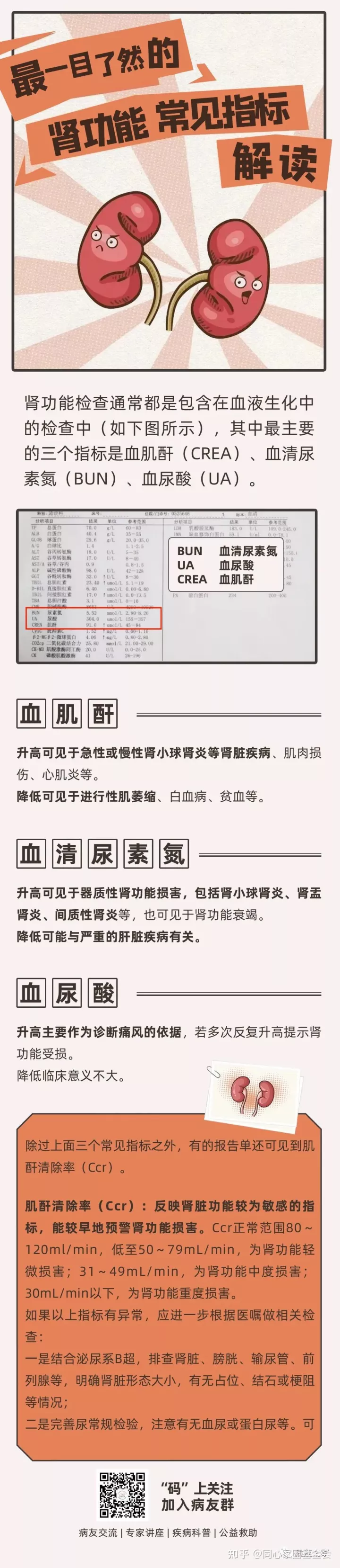 一图读懂 – 最一目了然的肾功能常见指标解读