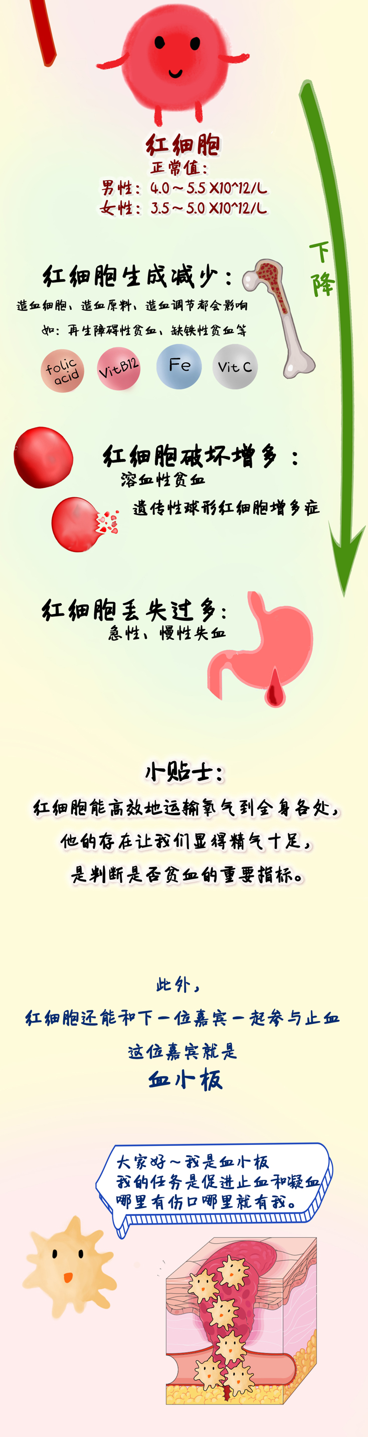 一图读懂血常规化验单,血液病病友请特别关注