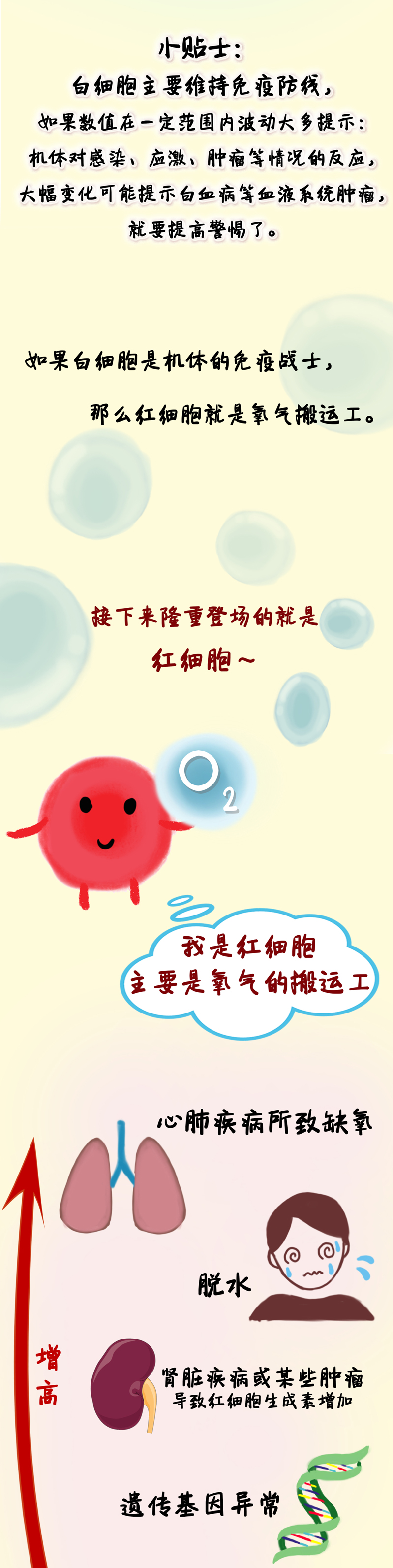 一图读懂血常规化验单,血液病病友请特别关注