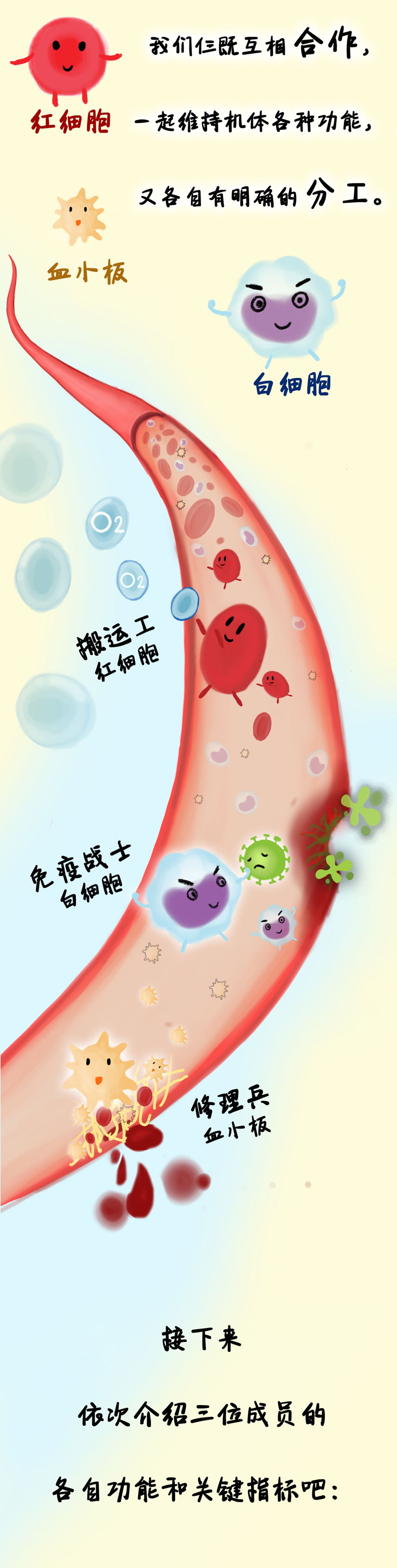 一图读懂血常规化验单,血液病病友请特别关注