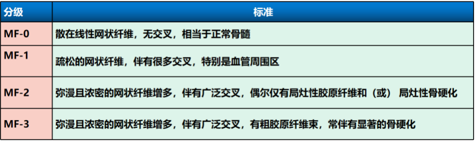 这样看骨穿报告,医生懂得您也懂