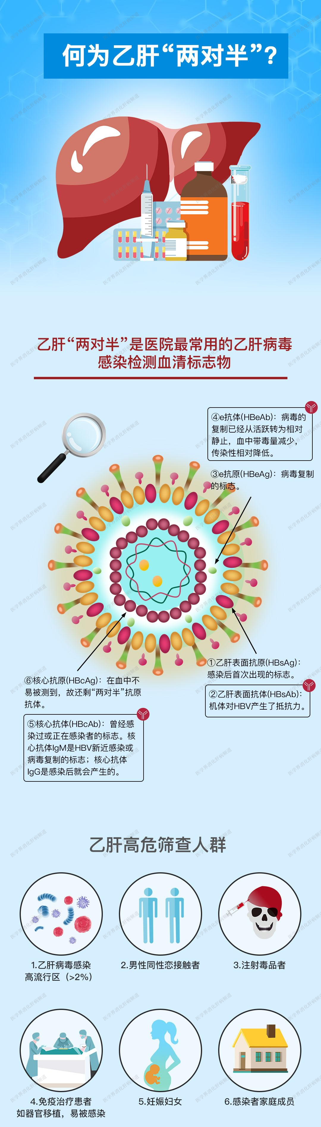 一文带您了解乙肝“两对半”