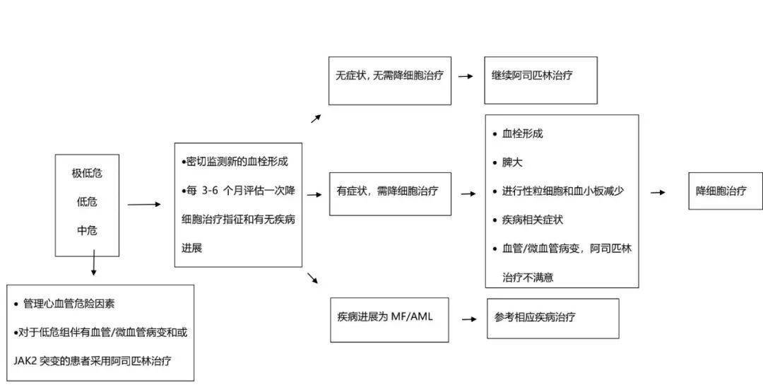 原发性血小板增多症怎么治?