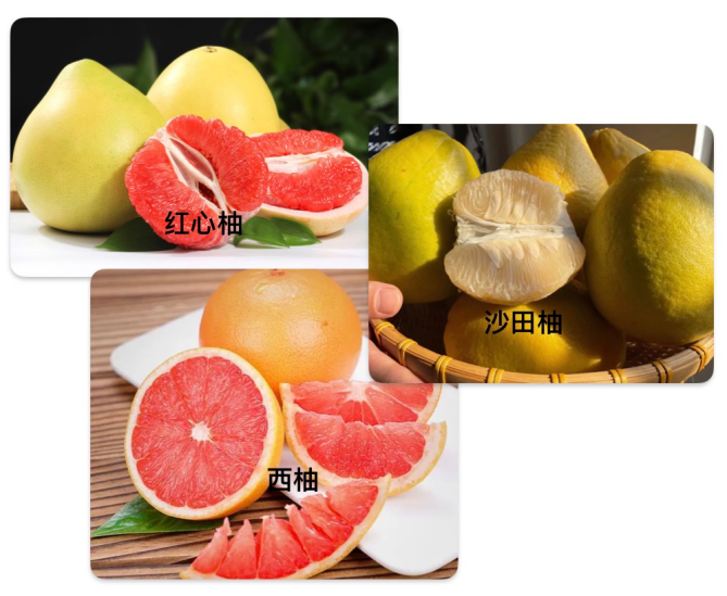 你知道吗|免疫抑制剂和西柚——水火不容