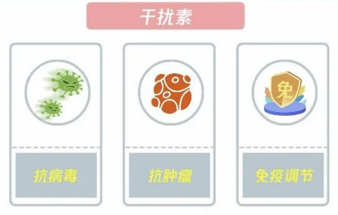 科普时间 | 干扰素引起皮疹瘙痒怎么办?
