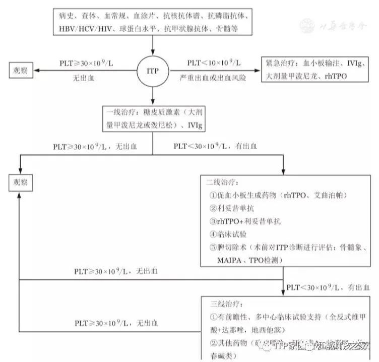 指南共识 | 成人原发免疫性血小板减少症诊断与治疗中国指南(2020年版)