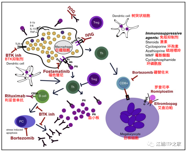 Changing ITP Together | 闫振宇教授分享ITP二线联合治疗及联合关键点