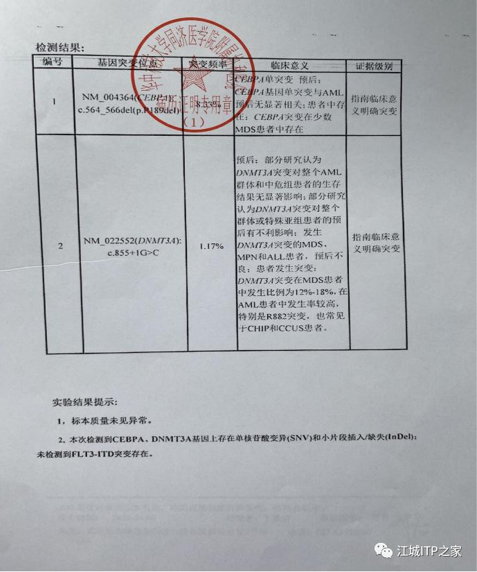 大咖谈病例 | 梅恒教授点评—肿瘤化疗后血小板减少症(CIT)病例解析