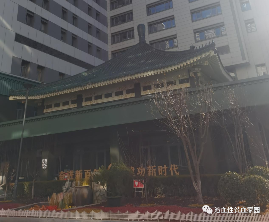 病友故事 | 自身免疫性溶血性贫血患者:一路温暖 使我的人生重染色彩 病友故事 | 自身免疫性溶血性贫血患者:一路温暖 使我的人生重染色彩