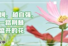 病友故事 | 越坎坷,越自强,我把一路荆棘化作盛开的花