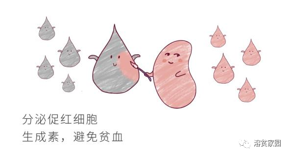 认识检查 | EPO检测