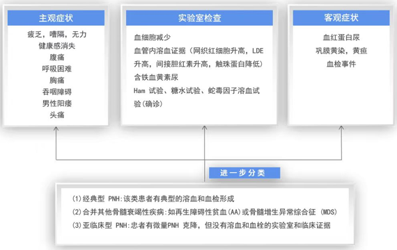 大咖零距离|周虎教授谈阵发性睡眠性血红蛋白尿症(PNH)