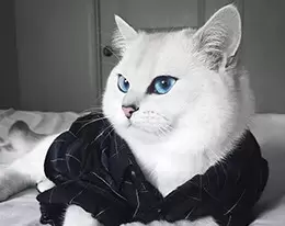 CAR-T细胞治疗全流程管理 CAR-T细胞治疗全流程管理