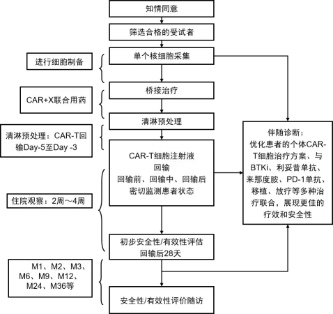 CAR-T细胞治疗全流程管理 CAR-T细胞治疗全流程管理